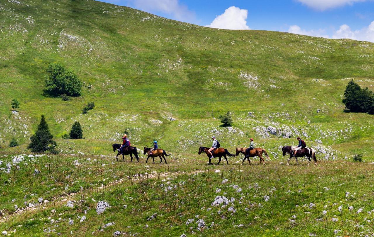 Outdoor Resort Tarasport Φότσα Εξωτερικό φωτογραφία